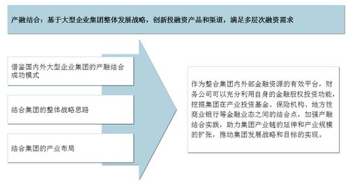 国企财务管理提升 中大咨询