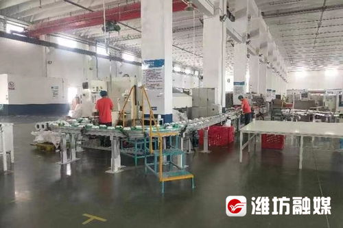 企业调研行 恒联集团 老造纸厂有个 上市梦